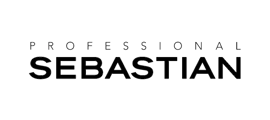 sebastian-professional-logo